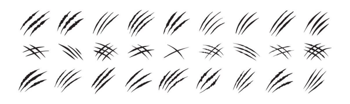 Claw scratches isolated. Black Bear tiger claws trails, animal scratched white paper. Flat scratch marks, racy wild beast tracks clipart