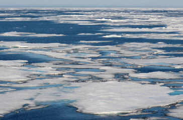 Fototapeta premium Arctic pack ice near the Svalbard archipelago