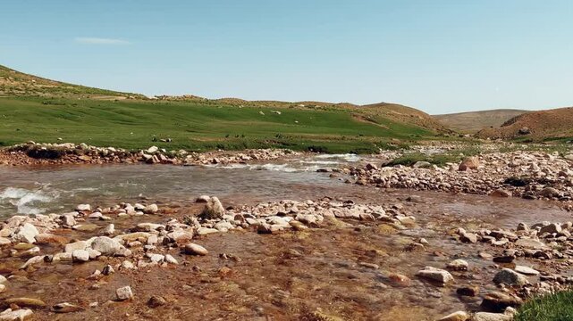 The Arashan River in Uzbekistan, in the Western Tien Shan. Mountain stream in Arashany, Angren plateau, untouched natural beauty, alpine meadows, huge canyons, waterfalls. Tashkent region. 4K