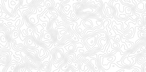 Black and white topography contour lines map isolated on white background. The stylized height of the topographic map contour in lines and contours isolated on transparent. topography line map.