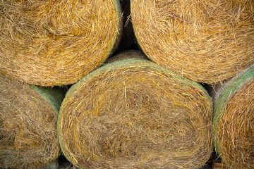 Hay bales on the field after harvest