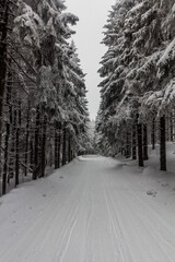 Cross country ski trail at Suchy vrch mountain, Czech Republic