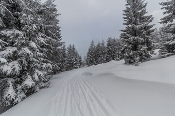 Obraz premium Cross country ski trail at Suchy vrch mountain, Czech Republic