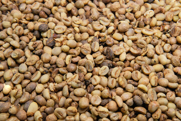 Indonesian robusta coffee beans that have been peeled