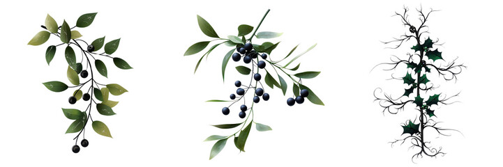 Green Leaves with Black Berries and Vines