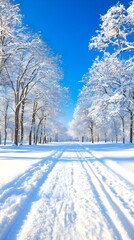 Obraz premium winter background