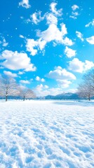 Obraz premium winter background