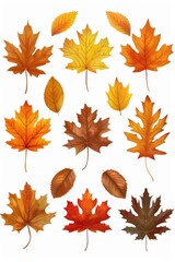 A collection of vibrant leaves in various colors on a clean white surface