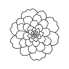 Flower Outline Design - Floral Clipart - Marigold Flower Illustration in black and white