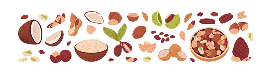 Set of different nuts. Peanut, walnut, cashew, almond, hazelnut. Bowl with mix of kernels, seeds. Healthy food, natural crunchy snack, superfood. Flat isolated vector illustrations on white background