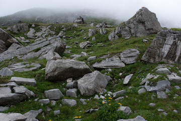 Vanoise valley. Alps. France.