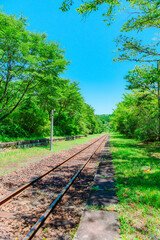 Fototapeta premium 故郷へと続く線路