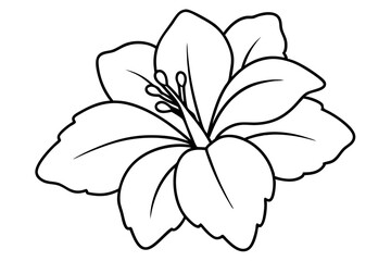Obraz premium hibiscus flower engraving black and white outline