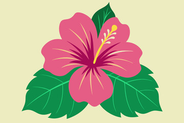 hibiscus flower engraving black and white outline © Zahid