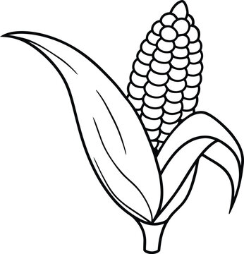 recommend clip art: A corn stalk illustration with ears of corn made simple for young artists
                    