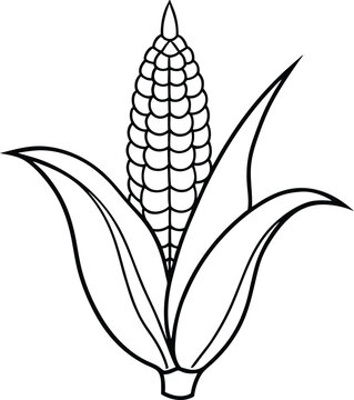 recommend clip art: A basic corn stalk design featuring a few ears of corn for coloring fun
                    