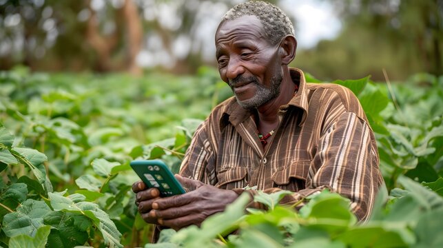 Mobile money in Africa. Mpesa. An elderly farmer is using a smartphone while surrounded by lush green crops in a vibrant field, showcasing the blend