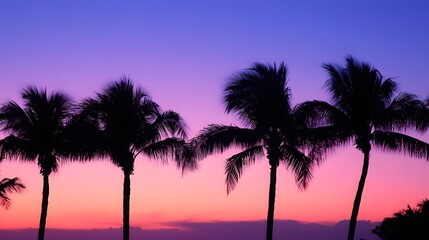 palm tree silhouettes. A stunning silhouette of palm trees against a vibrant sunset sky, creating a tropical and serene atmosphere. 