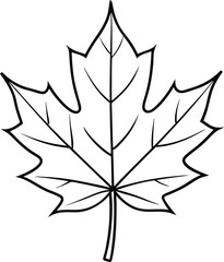 Simple maple leaf illustration with basic veins great for kids learning to stay inside the lines
