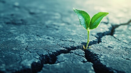 A resilient green sprout emerging from cracked earth, symbolizing hope and new beginnings in a challenging environment.