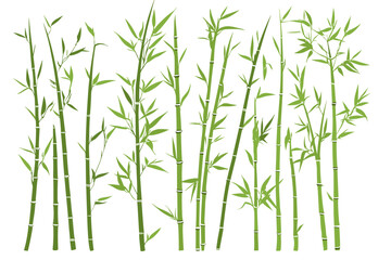 Fototapeta premium Bamboo forest stems. Jungle bamboo stems silhouettes, bamboo branches with leaves, decorative bamboo flat vector illustration set