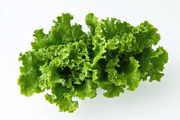 Obraz premium A fresh bunch of green lettuce with a crisp texture, ideal for salads and healthy dishes.