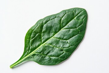 Obraz premium A fresh green spinach leaf on a white background, showcasing its texture and shape.