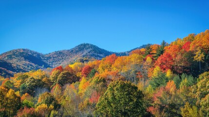Obraz premium Autumn forest with alpine scenery