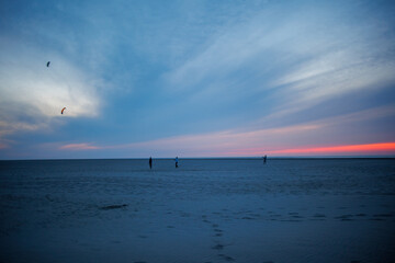 Texel beach with flying kites