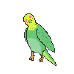 Love of pixel art, parakeets