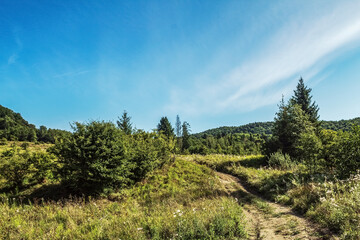 Landscapes -  Forest - Europe, Romania, Suceava region