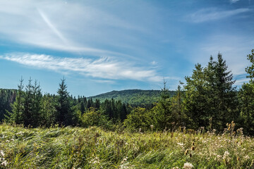 Obraz premium Landscapes - Forest - Europe, Romania, Suceava region