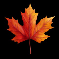 Autumn maple leaf on transparent background,vector illustration