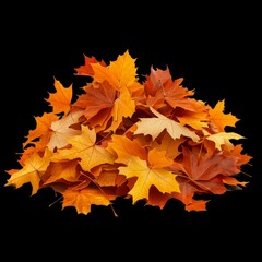Fototapeta premium Pile of autumn leaves on transparent background, photo