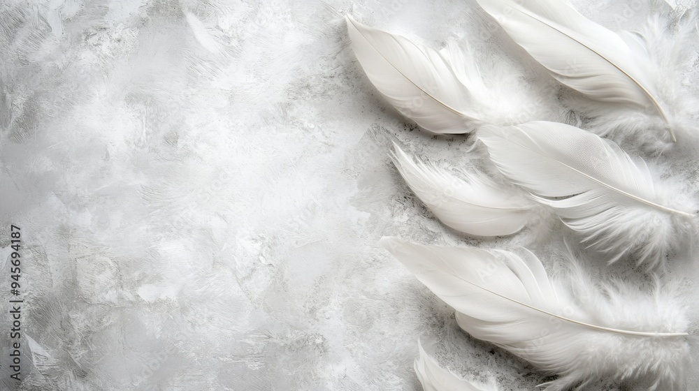 Canvas Prints White Feather Arrangement on a Textured Background