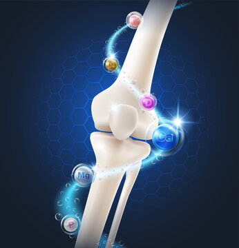 Nutrients and vitamins essential for bones, help strengthen knee joints and leg bones, protect the body maintain and repair for good health. Realistic 3D vector file.