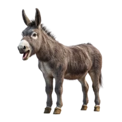  A friendly donkey standing with a cheerful expression, perfect for farm and animal-themed projects. © Aquarii