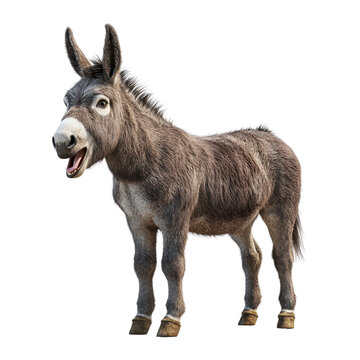 A friendly donkey standing with a cheerful expression, perfect for farm and animal-themed projects.