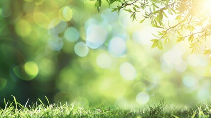 Obraz premium Sunlight Through Lush Greenery