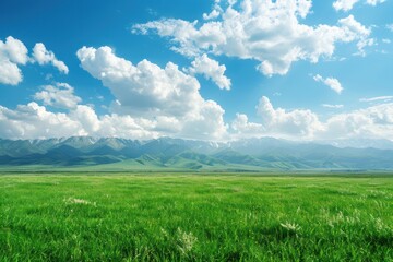 Fototapeta premium Majestic Mountain Landscape with Lush Green Meadow