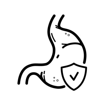 Stomach with a shield with a check mark. Stomach protection - vector icon