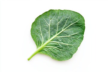 Obraz premium A single green leaf with visible veins, ideal for culinary use or as a natural decoration.