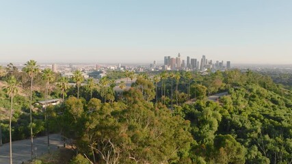 An aerial view of the gorgeous cityscape of Downtown Los Angeles, California, USA, with lush greenery under clear skies in stunning 4K quality, showcasing the citys architectural beauty