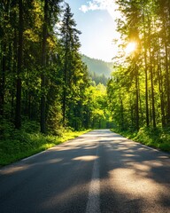 Obraz premium A serene forest road bathed in sunlight, surrounded by lush greenery and towering trees, inviting a peaceful driving experience.
