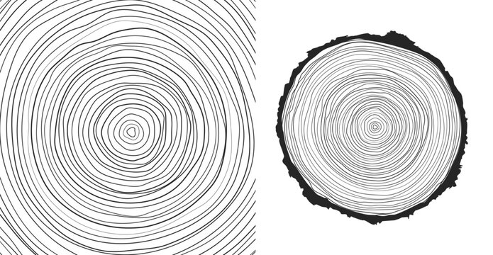Vector illustration of a hand-drawn, wavy concentric tree ring pattern with an editable stroke, created from a sliced tree trunk with a ripple ring line pattern shape in organic wood