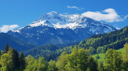 landscape in the mountains