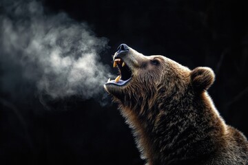 Obraz premium A powerful bear roars in the darkness, exhaling mist from its mouth, showcasing the raw beauty of wildlife.