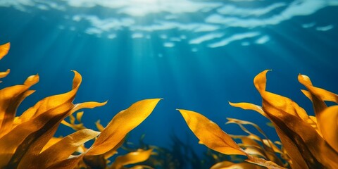 underwater seaweed forest with sunbeams and blue water - beautiful golden kelp seaweed aquatic nature photography.