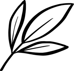 leaf outline. vector illustration for decoration and coloring.