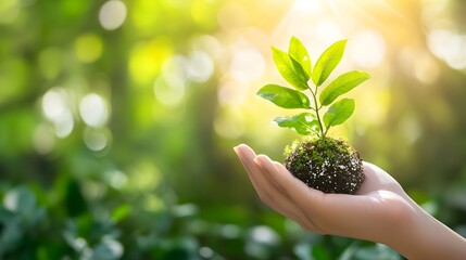 Sustainable Renewable Energy Practices with Eco Friendly Plant Growth